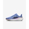 Nike Pegasus 41