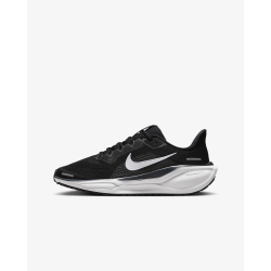 Nike Pegasus 41