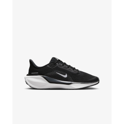 Nike Pegasus 41